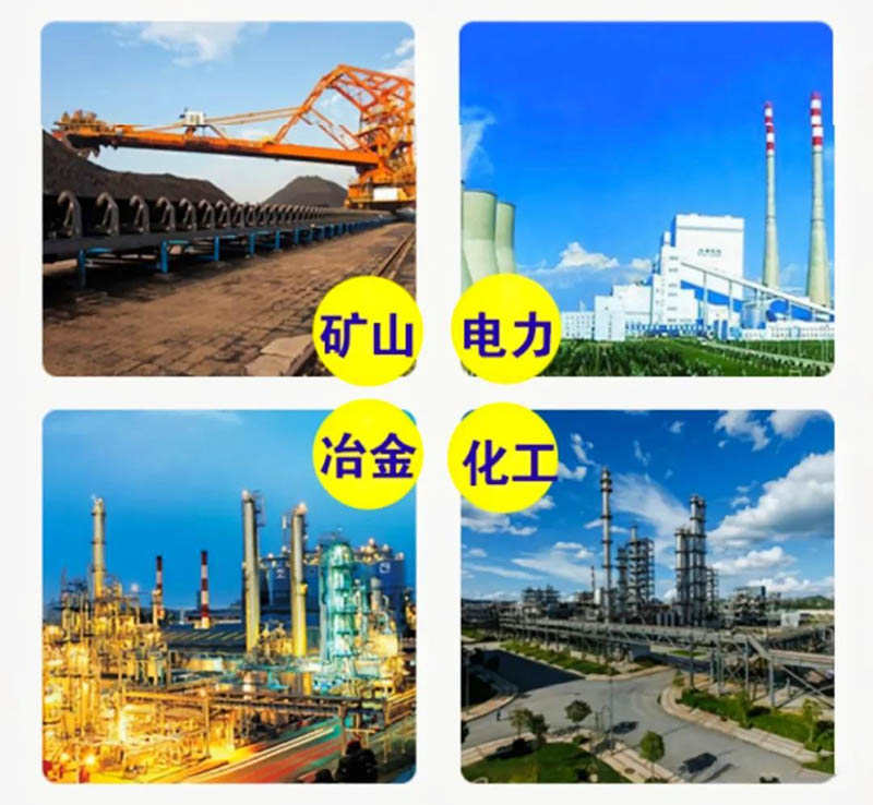 皮帶秤應(yīng)用行業(yè)