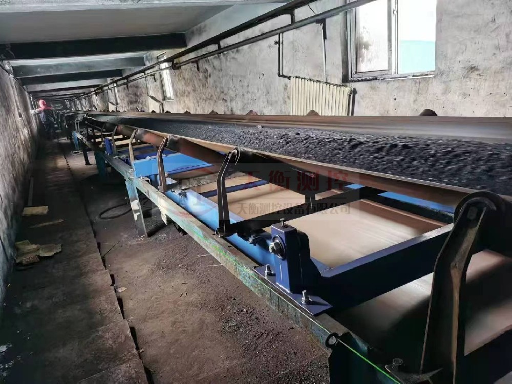 浙江熱電廠皮帶秤項目