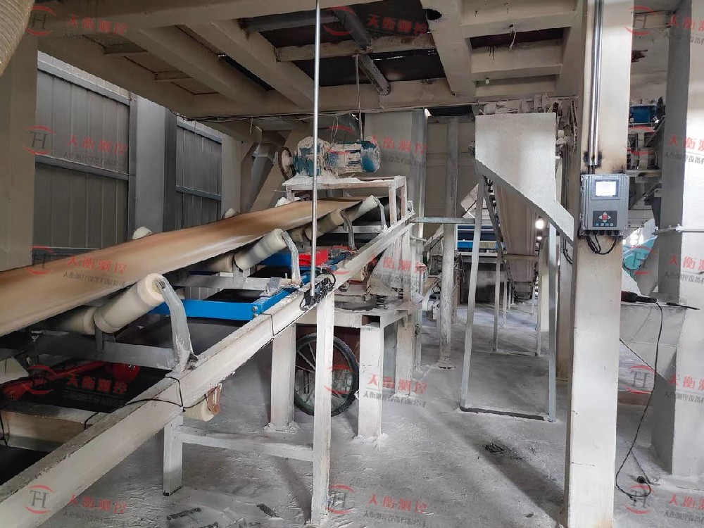 江西贛州皮帶秤現(xiàn)場(chǎng)